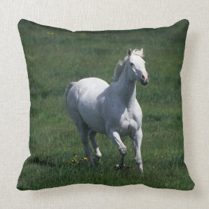 ThoroughbredMare Kudde