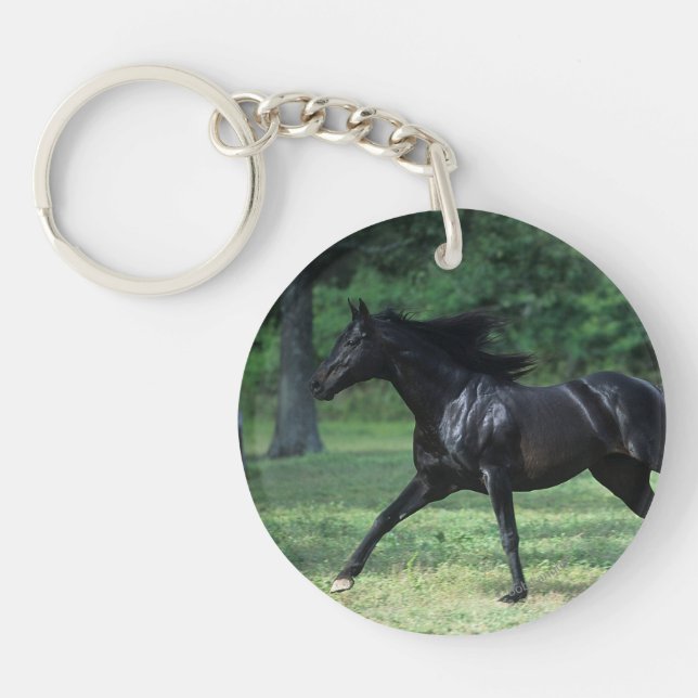 Thoroughbredspring (Framsidan)
