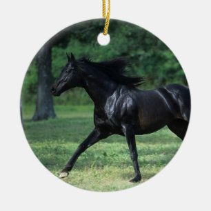 Thoroughbredspring Julgransprydnad Keramik