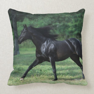 Thoroughbredspring Kudde