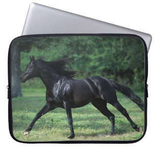 Thoroughbredspring Laptop Sleeve