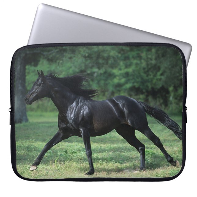 Thoroughbredspring Laptop Sleeve (Framsidan)