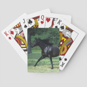 Thoroughbredspring Spel Kort