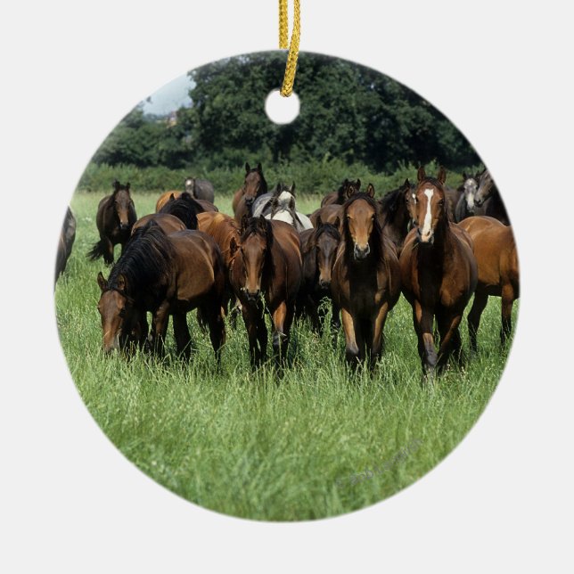 Thoroughbredungar Julgransprydnad Keramik (Framsidan)