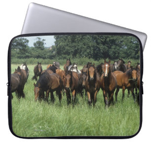 Thoroughbredungar Laptop Sleeve