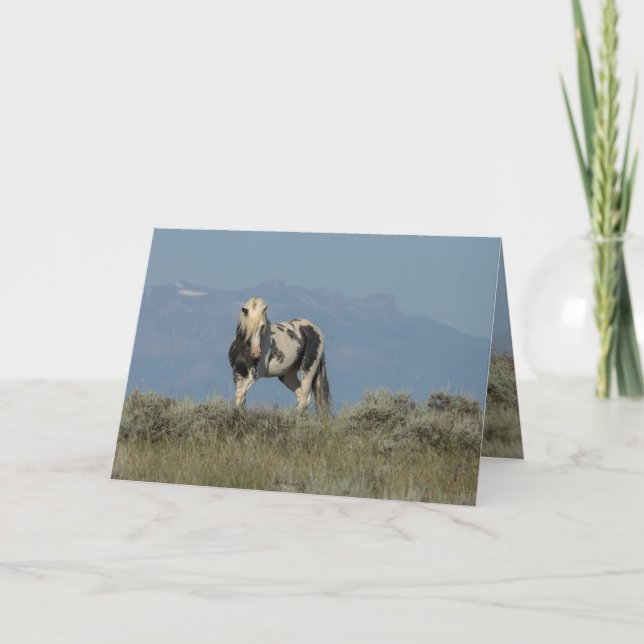Thors Challenge Vild Horse Greeting Card Tack Kort (Framsida)