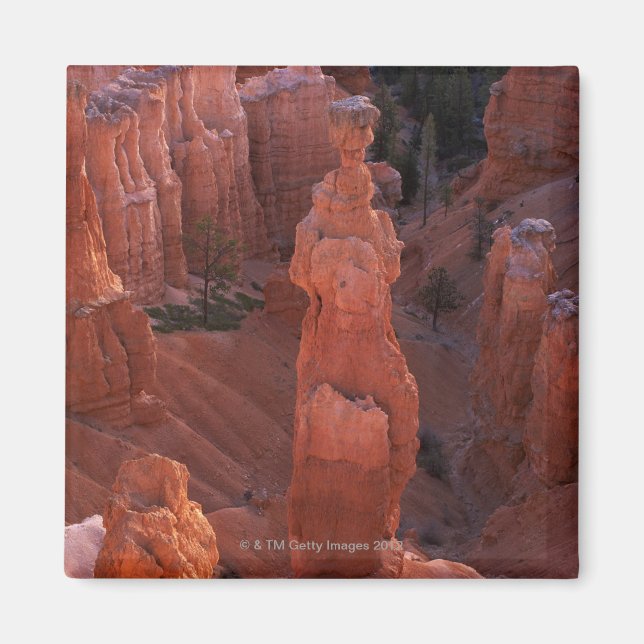 Thors Hammerhoodoo på Navajo Trail Magnet (Framsidan)