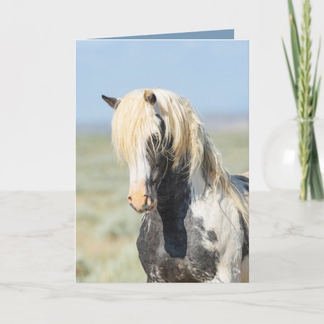 Thors Light Porträtt Vild Horse Greeting Card Tack Kort (Framsida)