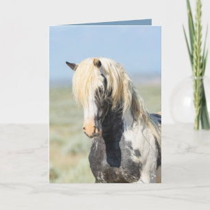 Thors Light Porträtt Vild Horse Greeting Card Tack Kort