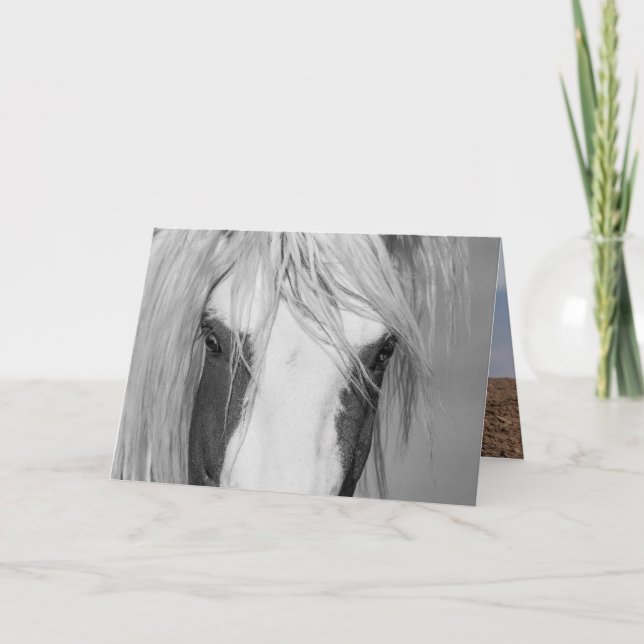 Thors Ögon - Vild Horse Greeting Card Kort (Framsida)