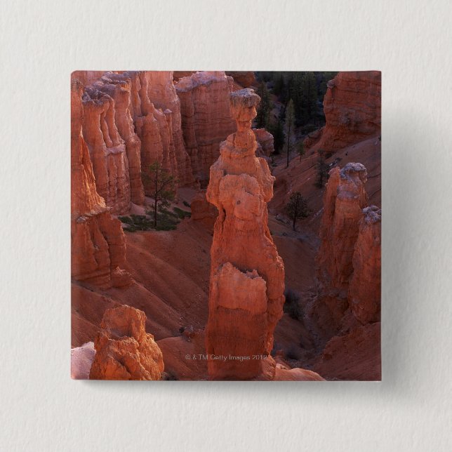 Thor'sen bultar hoodooen på Navajoslinga Knapp (Framsida)