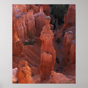 Thor'sen bultar hoodooen på Navajoslinga Poster