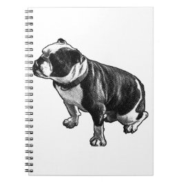 Thoughts Can Rest Anteckningsbok