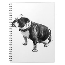 Thoughts Can Take Their Time Anteckningsbok