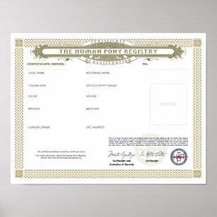 THPR Do-IT-Yourself Certificate 8x11 Poster