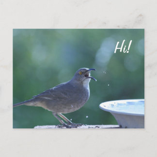 Thrasher Splasher Vykort