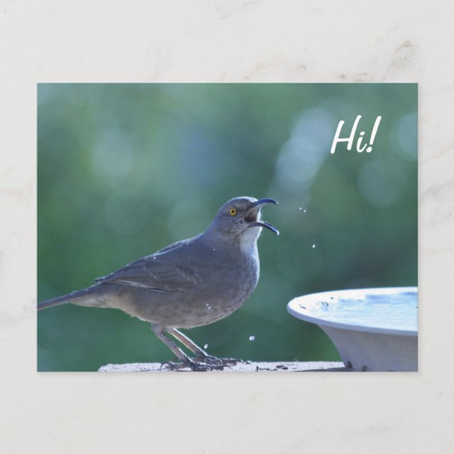 Thrasher Splasher Vykort (Framsida)