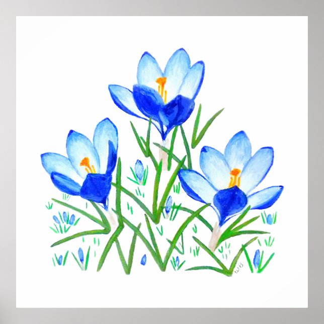 Three Blue Crocus Flowers Print Poster (Framsidan)