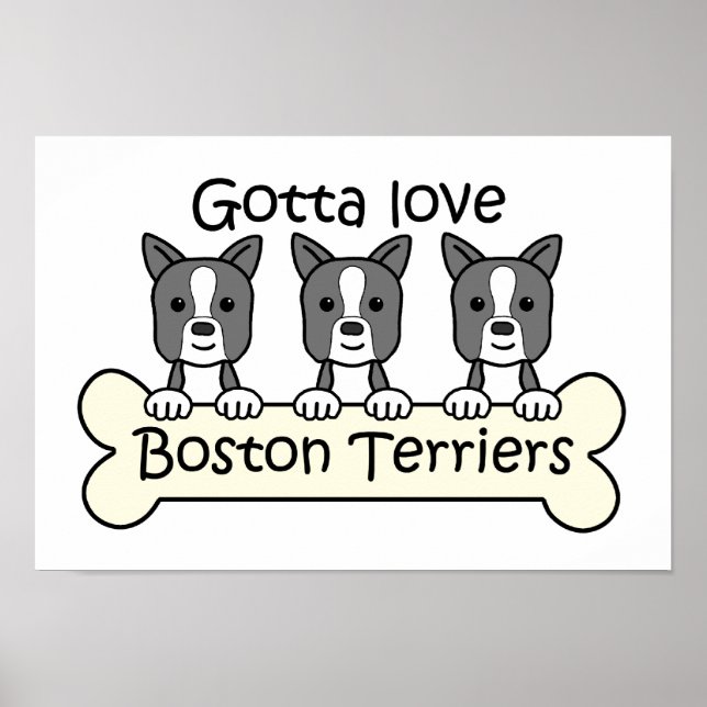 Three Boston Terriers Poster (Framsidan)