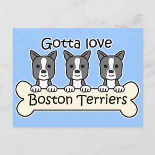 Three Boston Terriers Vykort