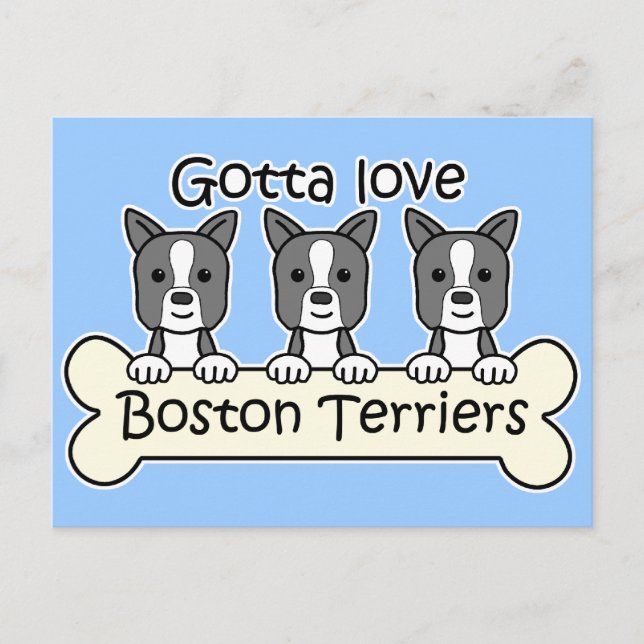 Three Boston Terriers Vykort (Framsida)