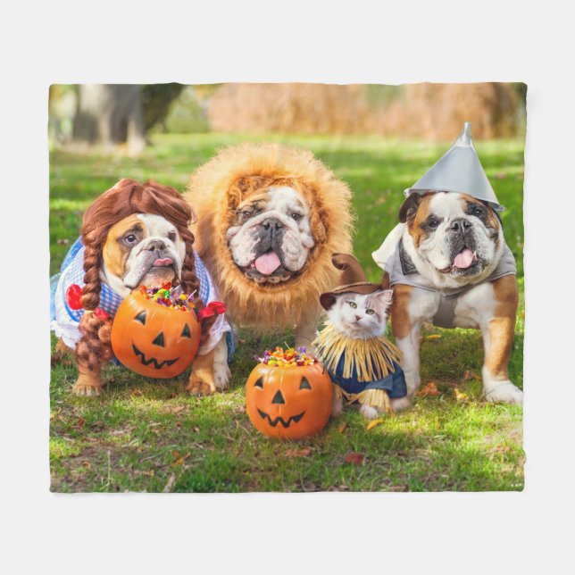 Three Bulldogs in Costumes Fleecefilt (Framsidan (Horisontell))