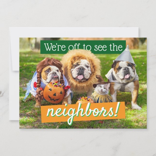 Three Bulldogs in Costumes Inbjudningar (Framsida)