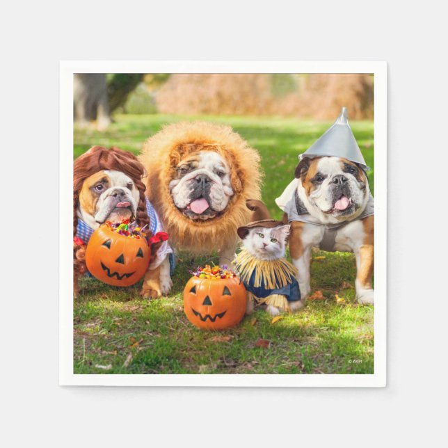 Three Bulldogs in Costumes Pappersservett (Framsidan)