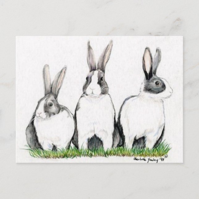 "Three Bunnies" Animal Art Postacard Vykort (Framsida)