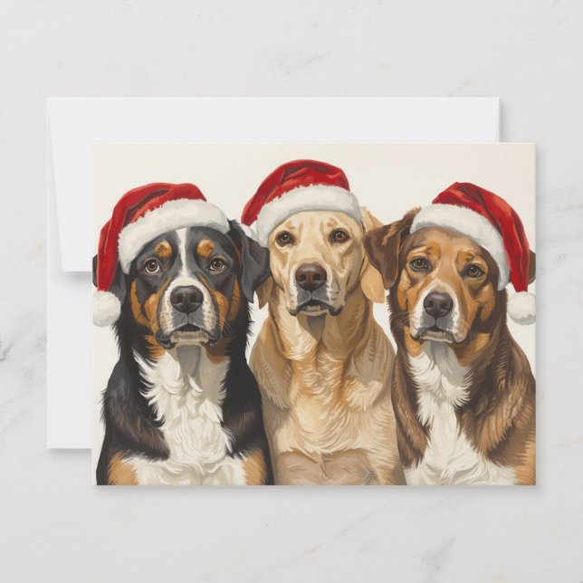 Three Dogs Santa Hats Merry Christmas Trio Julkort (Framsida)
