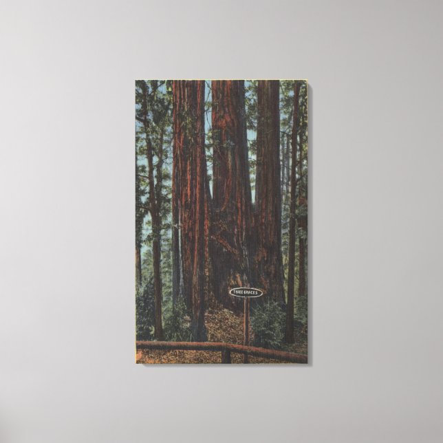 "Three Graces" på Big Träd Park Canvastryck (Framsida)