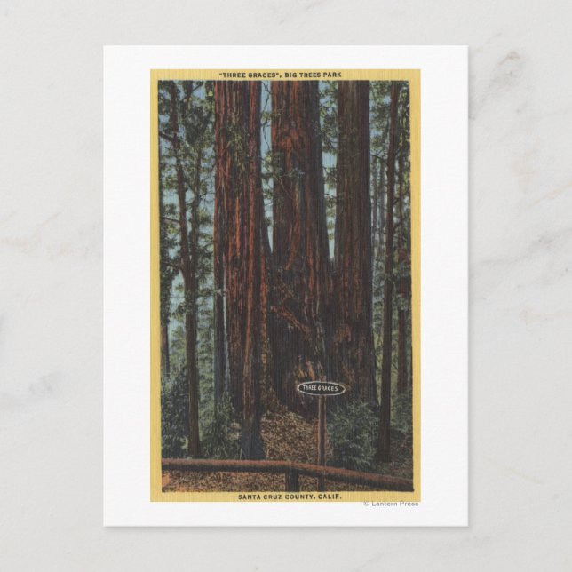 "Three Graces" på Big Träd Park Vykort (Framsida)