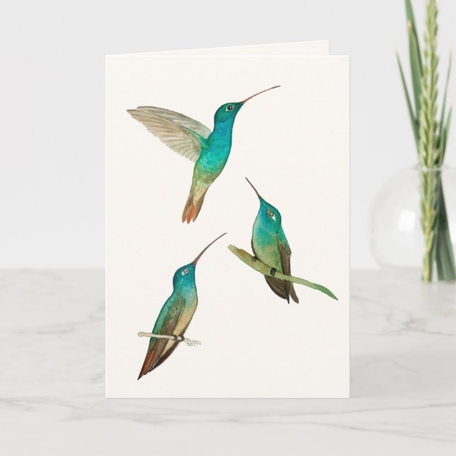 Three Hummingbirds Greeting Card Kort (Framsida)