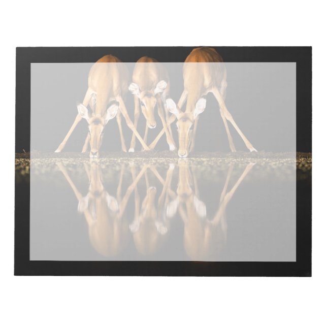 Three Impala Drink Together at Night Anteckningsblock (Framsida)