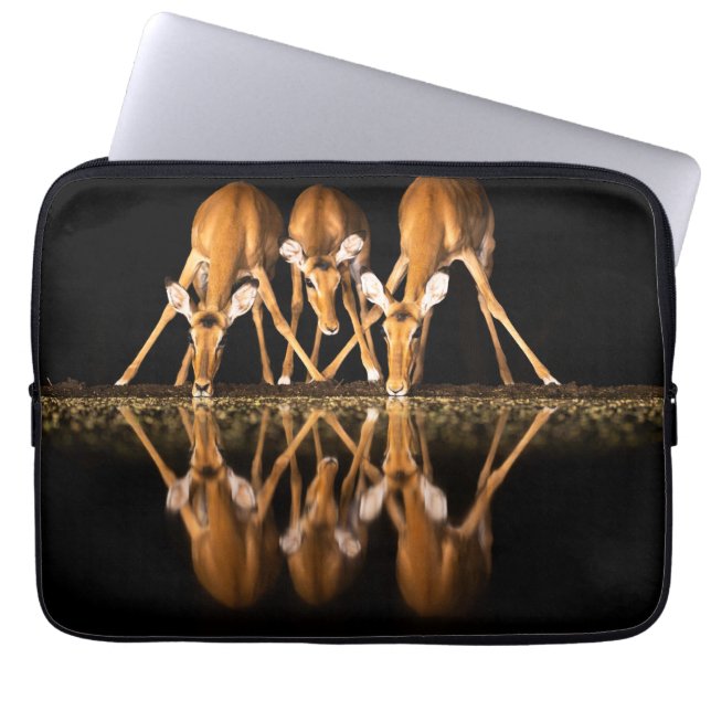 Three Impala Drink Together at Night Laptop Fodral (Framsidan)