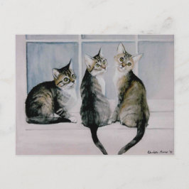 "Three Kittens" Art Reproduction Postcard Vykort