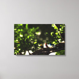 Three Little Birds Canvastryck