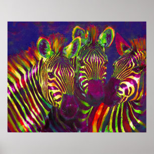 three neon zebras poster