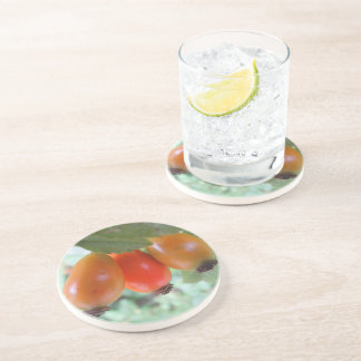 Three orange rosehips underlägg