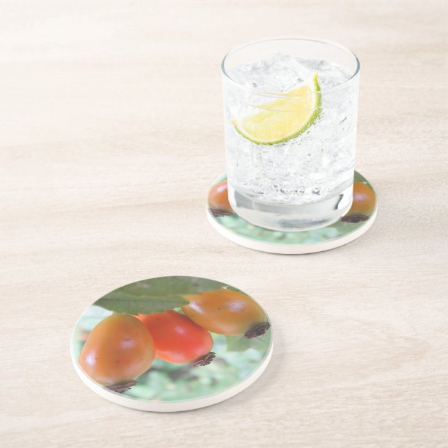 Three orange rosehips underlägg (Sidan)