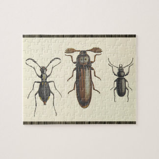 Three Side-By-Side Insects Puzzle Pussel
