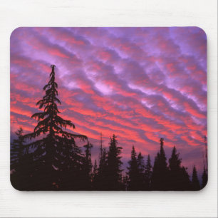 Three Sisters Wilderness, Oregon Musmatta