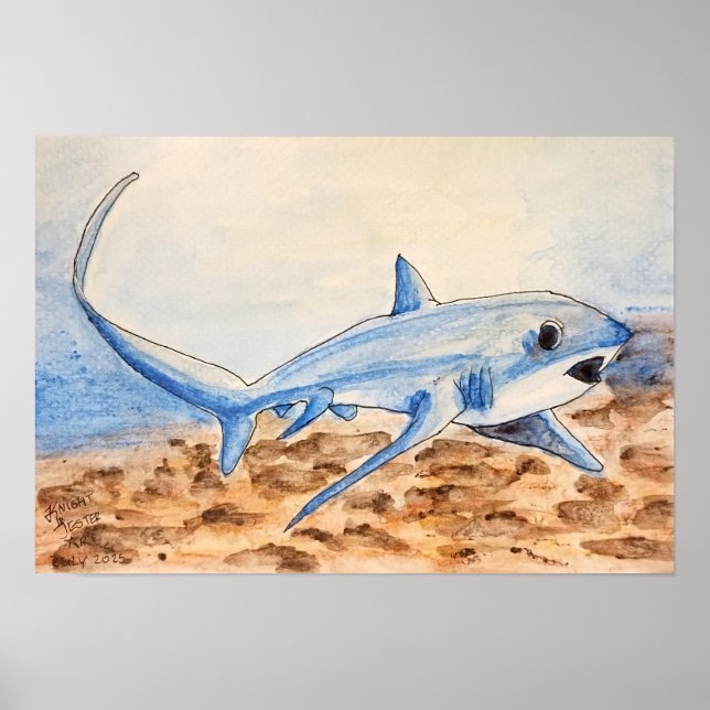 Thresher Shark Poster (Framsidan)