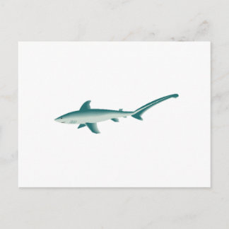 Thresher Shark Vykort