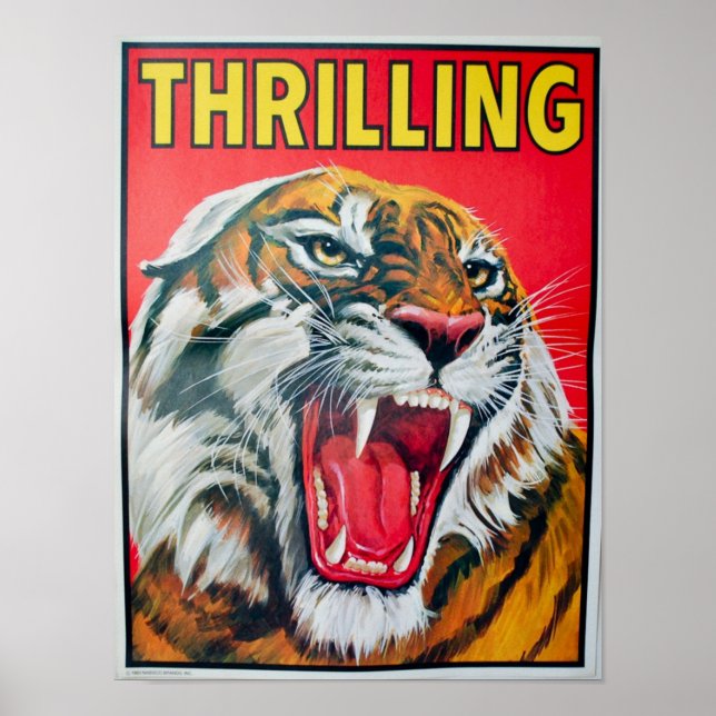 Thrilling Tiger Poster (Framsidan)