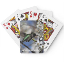 Throated Hummingbird för kvinnlig Ruby