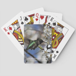 Throated Hummingbird för kvinnlig Ruby Casinokort