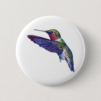 Throated Hummingbird för Ruby Knapp