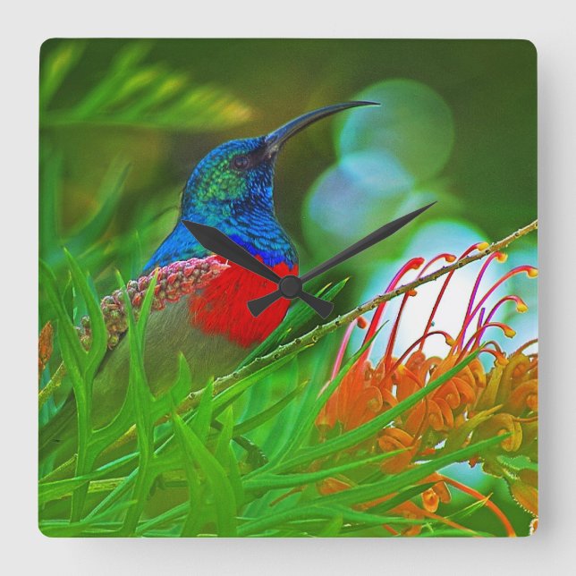 Throated Hummingbirdruby Fyrkantig Klocka (Framsida)