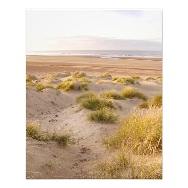 Through the Dunes to the Sea – Holkham, Norfolk Fototryck (Framsidan)
